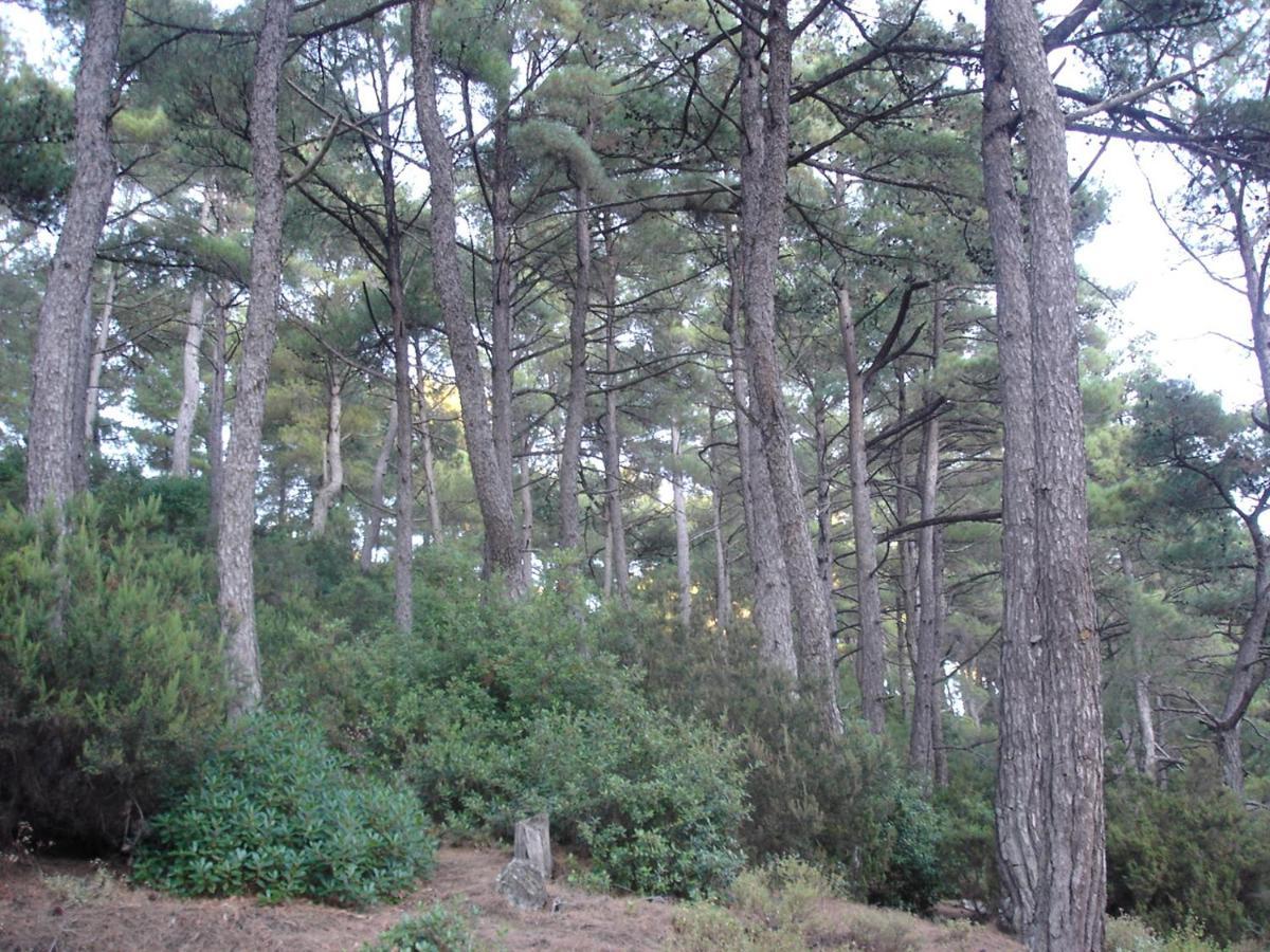 Studio With Loft Raxes Ikaria #5 Raches  ภายนอก รูปภาพ